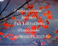 График работы филиала ПМБ "Плюсский" на ноябрь 2025 г