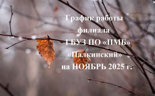 График работы филиала ПМБ "Палкинский" на ноябрь 2025 г
