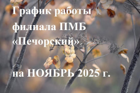 График работы филиала ПМБ "Печорский" на ноябрь 2025 г.