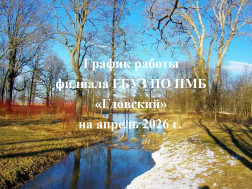 График работы филиала ГБУЗ ПО ПМБ «Гдовский» на апрель 2026 г.